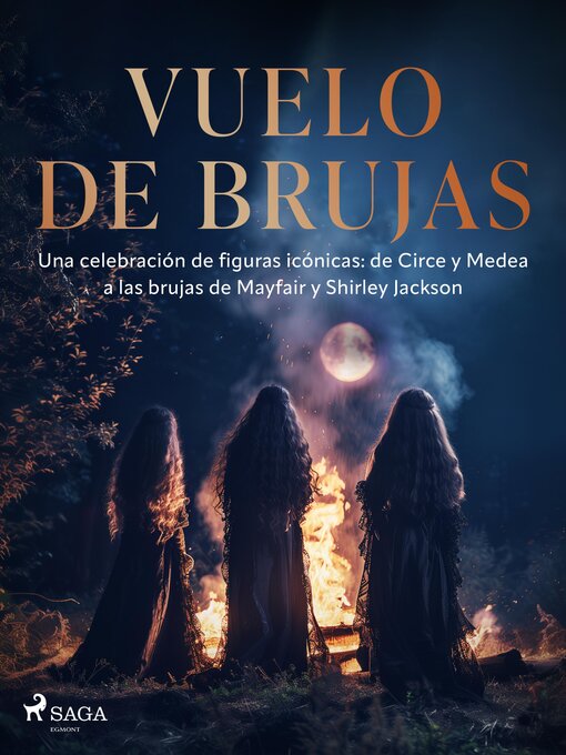 Cover image for Vuelo de brujas